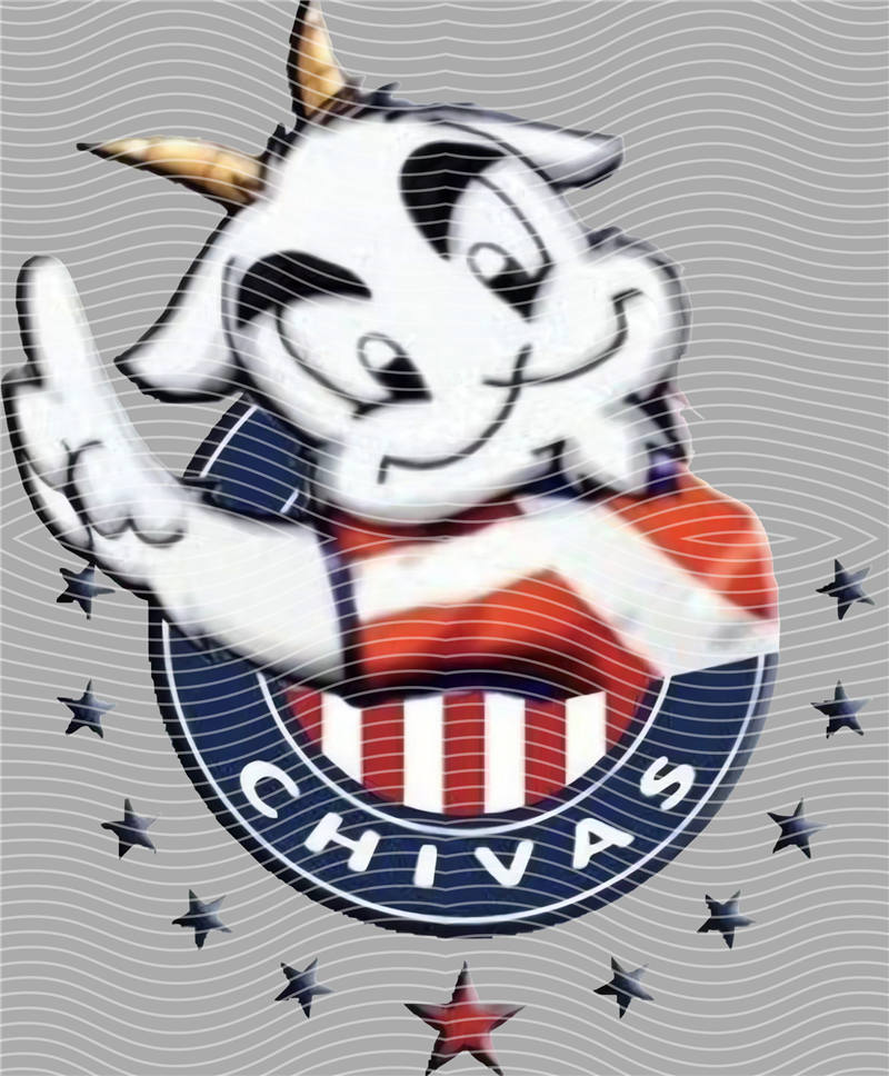 NBA and Team-Q 445